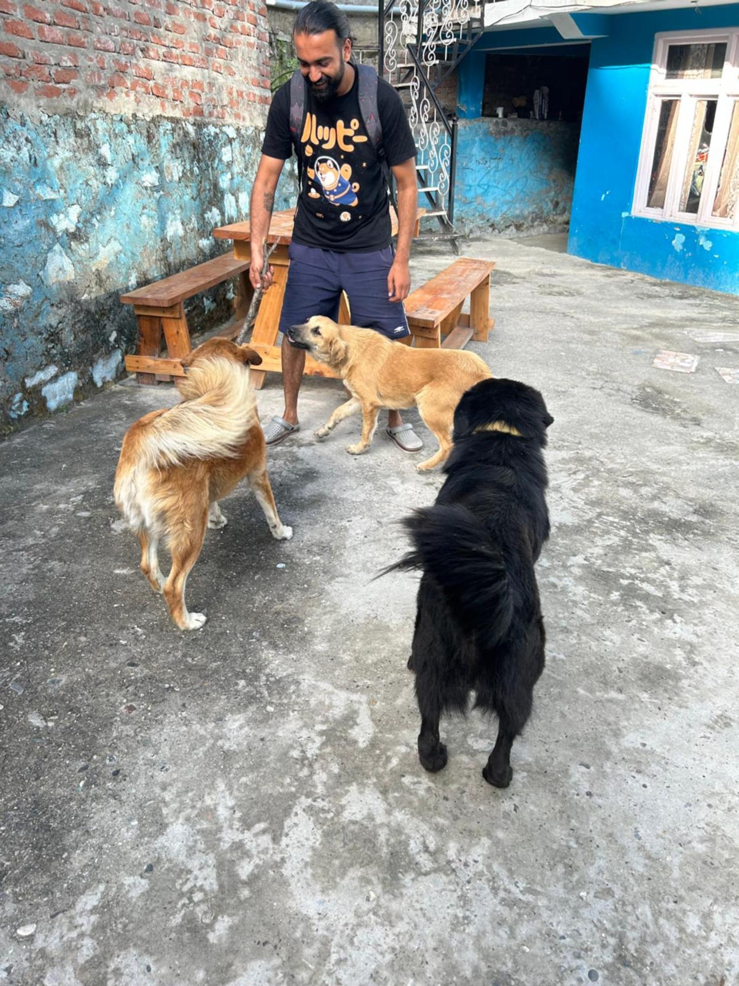 كاسول Formosa Hostel & Cafe المظهر الخارجي الصورة